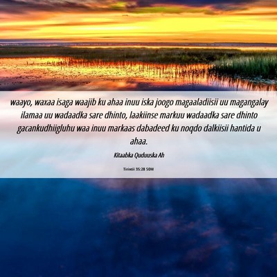 Picture 06 - Tirintii 35:28 SOM - waayo, waxaa isaga waajib ku ahaa inuu iska joogo - Bible Verse Picture