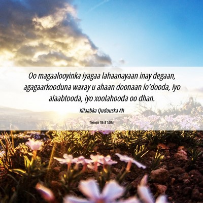 Picture 06 - Tirintii 35:3 SOM - Oo magaalooyinka iyagaa lahaanayaan inay degaan, - Bible Verse Picture