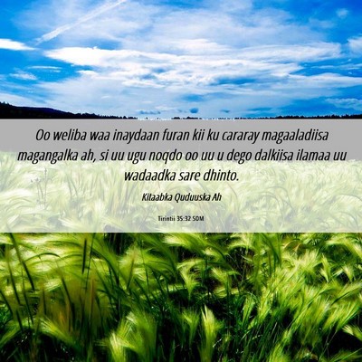 Picture 06 - Tirintii 35:32 SOM - Oo weliba waa inaydaan furan kii ku cararay - Bible Verse Picture