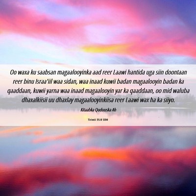 Picture 06 - Tirintii 35:8 SOM - Oo waxa ku saabsan magaalooyinka aad reer Laawi - Bible Verse Picture