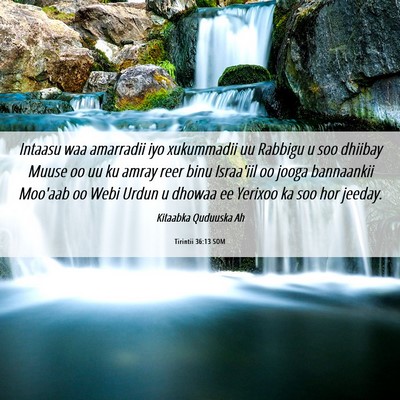 Picture 06 - Tirintii 36:13 SOM - Intaasu waa amarradii iyo xukummadii uu Rabbigu u - Bible Verse Picture