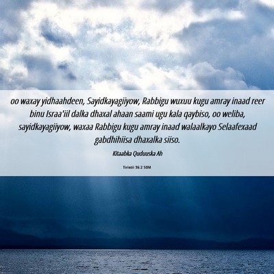 Picture 06 - Tirintii 36:2 SOM - oo waxay yidhaahdeen, Sayidkayagiiyow, Rabbigu - Bible Verse Picture