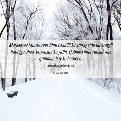 Picture 06 - Tirintii 36:5 SOM - Markaasaa Muuse reer binu Israa'iil ku amray - Bible Verse Picture