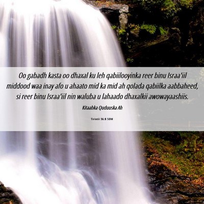 Picture 06 - Tirintii 36:8 SOM - Oo gabadh kasta oo dhaxal ku leh qabiilooyinka - Bible Verse Picture