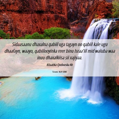 Picture 06 - Tirintii 36:9 SOM - Sidaasaanu dhaxalna qabiil uga tagayn oo qabiil - Bible Verse Picture