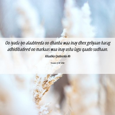 Picture 06 - Tirintii 4:10 SOM - Oo iyada iyo alaabteeda oo dhanba waa inay dhex - Bible Verse Picture