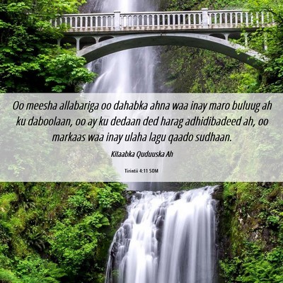 Picture 06 - Tirintii 4:11 SOM - Oo meesha allabariga oo dahabka ahna waa inay - Bible Verse Picture