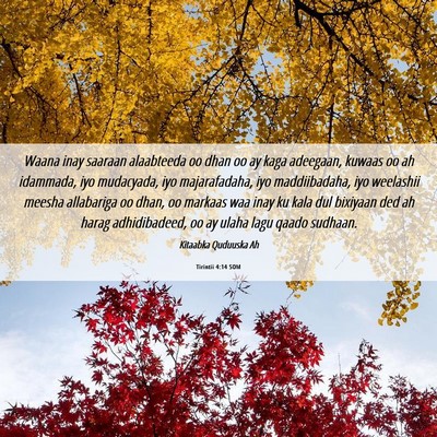 Picture 06 - Tirintii 4:14 SOM - Waana inay saaraan alaabteeda oo dhan oo ay kaga - Bible Verse Picture