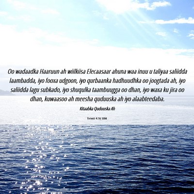 Picture 06 - Tirintii 4:16 SOM - Oo wadaadka Haaruun ah wiilkiisa Elecaasaar ahuna - Bible Verse Picture