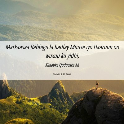 Picture 06 - Tirintii 4:17 SOM - Markaasaa Rabbigu la hadlay Muuse iyo Haaruun oo - Bible Verse Picture