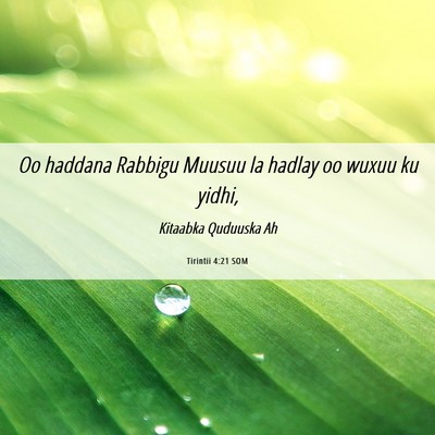 Picture 06 - Tirintii 4:21 SOM - Oo haddana Rabbigu Muusuu la hadlay oo wuxuu ku - Bible Verse Picture