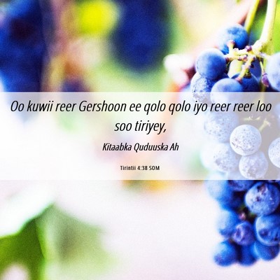 Picture 06 - Tirintii 4:38 SOM - Oo kuwii reer Gershoon ee qolo qolo iyo reer reer - Bible Verse Picture