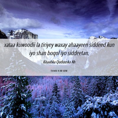 Picture 06 - Tirintii 4:48 SOM - xataa kuwoodii la tiriyey waxay ahaayeen siddeed - Bible Verse Picture
