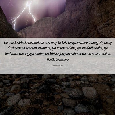 Picture 06 - Tirintii 4:7 SOM - Oo miiska kibista tusniintana waa inay ku kala - Bible Verse Picture
