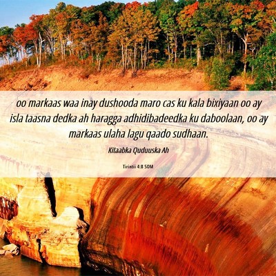 Picture 06 - Tirintii 4:8 SOM - oo markaas waa inay dushooda maro cas ku kala - Bible Verse Picture