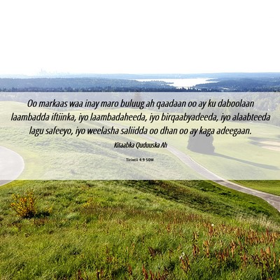 Picture 06 - Tirintii 4:9 SOM - Oo markaas waa inay maro buluug ah qaadaan oo ay - Bible Verse Picture