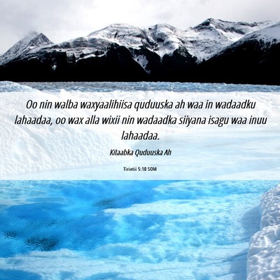 Picture 06 - Tirintii 5:10 SOM - Oo nin walba waxyaalihiisa quduuska ah waa in - Bible Verse Picture
