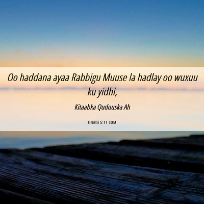 Picture 06 - Tirintii 5:11 SOM - Oo haddana ayaa Rabbigu Muuse la hadlay oo wuxuu - Bible Verse Picture