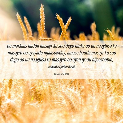 Picture 06 - Tirintii 5:14 SOM - oo markaas haddii masayr ku soo dego ninka oo uu - Bible Verse Picture