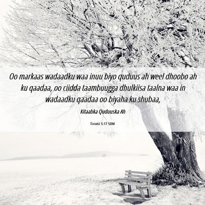 Picture 06 - Tirintii 5:17 SOM - Oo markaas wadaadku waa inuu biyo quduus ah weel - Bible Verse Picture