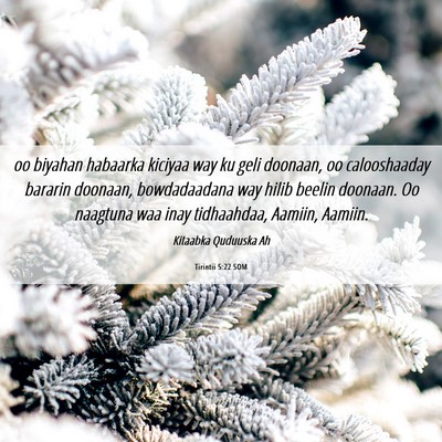 Picture 06 - Tirintii 5:22 SOM - oo biyahan habaarka kiciyaa way ku geli doonaan, - Bible Verse Picture
