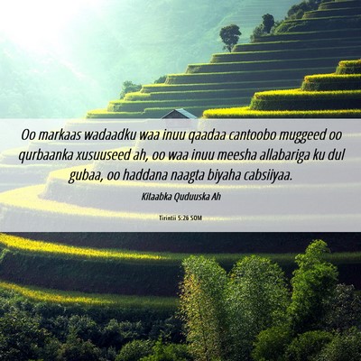 Picture 06 - Tirintii 5:26 SOM - Oo markaas wadaadku waa inuu qaadaa cantoobo - Bible Verse Picture