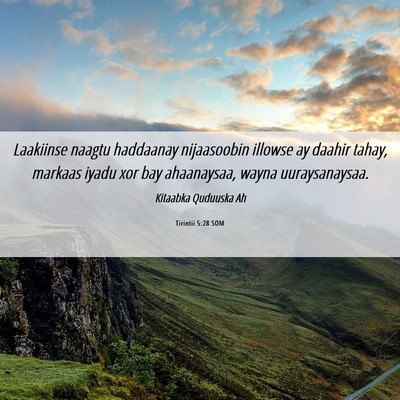 Picture 06 - Tirintii 5:28 SOM - Laakiinse naagtu haddaanay nijaasoobin illowse ay - Bible Verse Picture