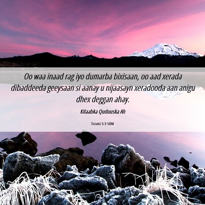 Picture 06 - Tirintii 5:3 SOM - Oo waa inaad rag iyo dumarba bixisaan, oo aad - Bible Verse Picture