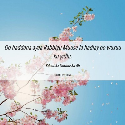 Picture 06 - Tirintii 5:5 SOM - Oo haddana ayaa Rabbigu Muuse la hadlay oo wuxuu - Bible Verse Picture