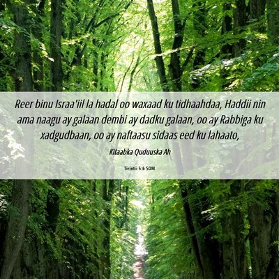 Picture 06 - Tirintii 5:6 SOM - Reer binu Israa'iil la hadal oo waxaad ku - Bible Verse Picture