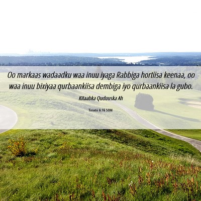 Picture 06 - Tirintii 6:16 SOM - Oo markaas wadaadku waa inuu iyaga Rabbiga - Bible Verse Picture