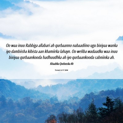 Picture 06 - Tirintii 6:17 SOM - Oo waa inuu Rabbiga allabari ah qurbaanno - Bible Verse Picture