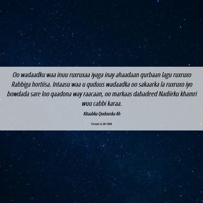 Picture 06 - Tirintii 6:20 SOM - Oo wadaadku waa inuu ruxruxaa iyaga inay ahaadaan - Bible Verse Picture