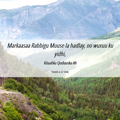 Picture 06 - Tirintii 6:22 SOM - Markaasaa Rabbigu Muuse la hadlay, oo wuxuu ku - Bible Verse Picture