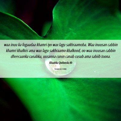 Picture 06 - Tirintii 6:3 SOM - waa inuu ka fogaadaa khamri iyo wax lagu - Bible Verse Picture