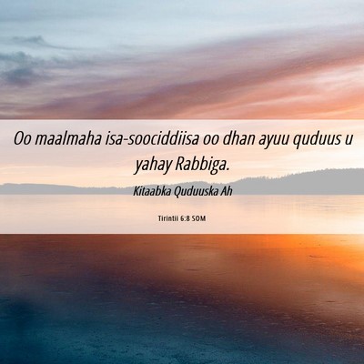 Picture 06 - Tirintii 6:8 SOM - Oo maalmaha isa-soociddiisa oo dhan ayuu quduus u - Bible Verse Picture