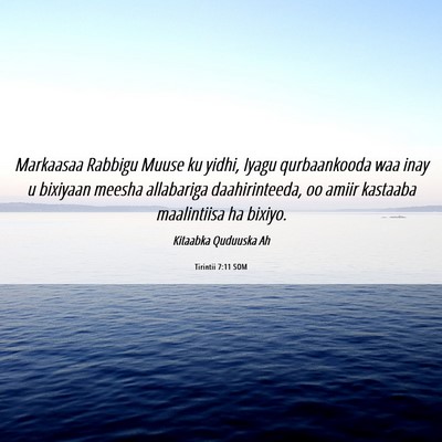 Picture 06 - Tirintii 7:11 SOM - Markaasaa Rabbigu Muuse ku yidhi, Iyagu - Bible Verse Picture