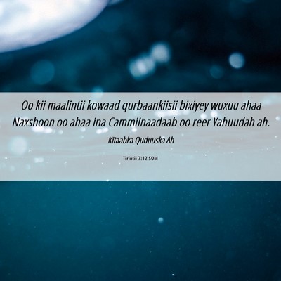Picture 06 - Tirintii 7:12 SOM - Oo kii maalintii kowaad qurbaankiisii bixiyey - Bible Verse Picture