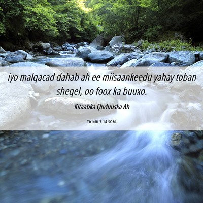 Picture 06 - Tirintii 7:14 SOM - iyo malqacad dahab ah ee miisaankeedu yahay toban - Bible Verse Picture