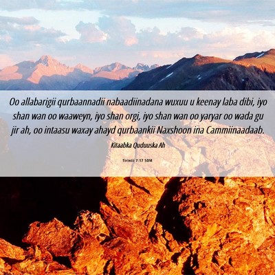 Picture 06 - Tirintii 7:17 SOM - Oo allabarigii qurbaannadii nabaadiinadana wuxuu - Bible Verse Picture