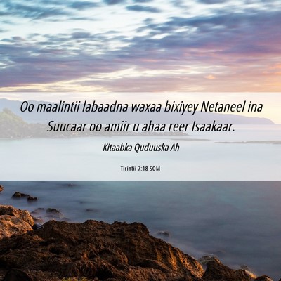 Picture 06 - Tirintii 7:18 SOM - Oo maalintii labaadna waxaa bixiyey Netaneel ina - Bible Verse Picture