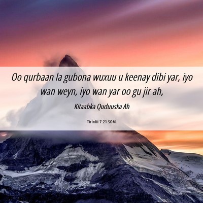 Picture 06 - Tirintii 7:21 SOM - Oo qurbaan la gubona wuxuu u keenay dibi yar, iyo - Bible Verse Picture