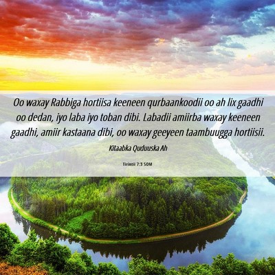 Picture 06 - Tirintii 7:3 SOM - Oo waxay Rabbiga hortiisa keeneen qurbaankoodii - Bible Verse Picture