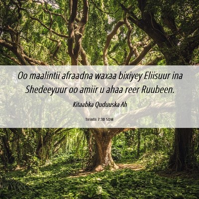 Picture 06 - Tirintii 7:30 SOM - Oo maalintii afraadna waxaa bixiyey Eliisuur ina - Bible Verse Picture