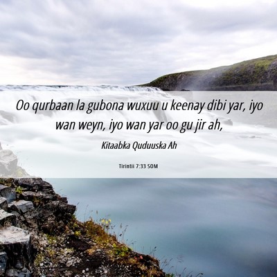 Picture 06 - Tirintii 7:33 SOM - Oo qurbaan la gubona wuxuu u keenay dibi yar, iyo - Bible Verse Picture