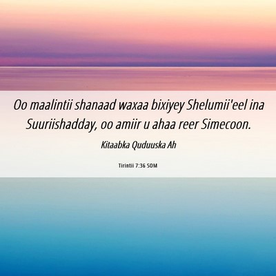 Picture 06 - Tirintii 7:36 SOM - Oo maalintii shanaad waxaa bixiyey Shelumii'eel - Bible Verse Picture