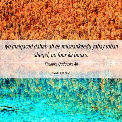 Picture 06 - Tirintii 7:38 SOM - iyo malqacad dahab ah ee miisaankeedu yahay toban - Bible Verse Picture