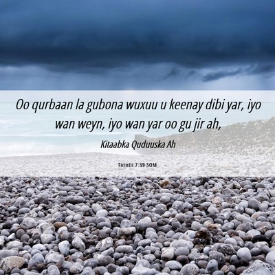 Picture 06 - Tirintii 7:39 SOM - Oo qurbaan la gubona wuxuu u keenay dibi yar, iyo - Bible Verse Picture