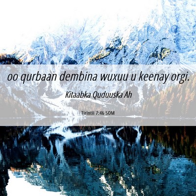 Picture 06 - Tirintii 7:46 SOM - oo qurbaan dembina wuxuu u keenay - Bible Verse Picture