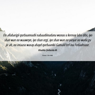 Picture 06 - Tirintii 7:59 SOM - Oo allabarigii qurbaannadii nabaadiinadana wuxuu - Bible Verse Picture